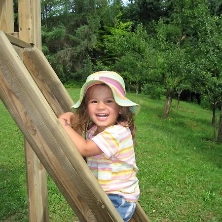 Landhaus Schreier Guest house Ledenitzen